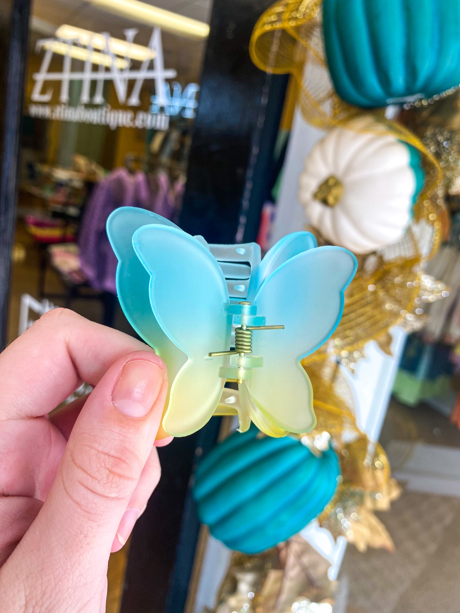 Butterfly Clip, Blue & Green